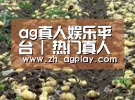 种植基地七