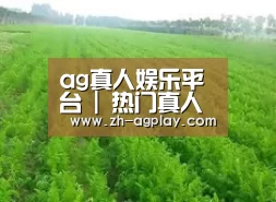 种植基地四
