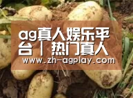 产品展示标题2