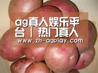 产品展示标题1