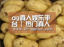 产品展示标题6
