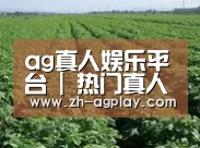 种植基地五