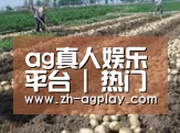 种植基地七(图1)