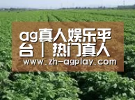 种植基地五(图1)
