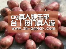 产品展示标题5