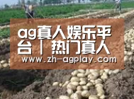 种植基地八