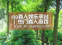 种植基地九