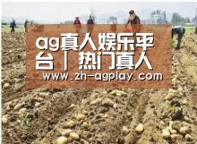 种植基地一