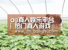 种植基地三