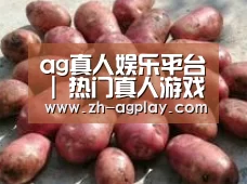 产品展示标题5(图1)