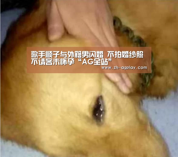 歌手顺子与外籍男闪婚 不拍婚纱照不请客未怀孕“AG全站”(图1) AG全站