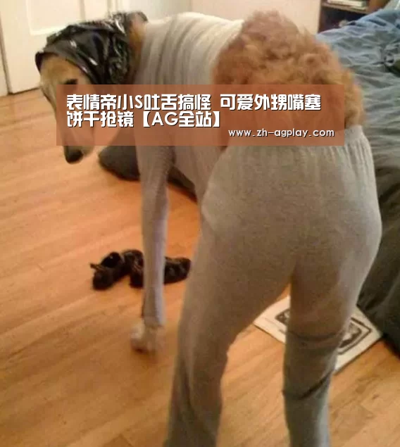 AG真人官方下载